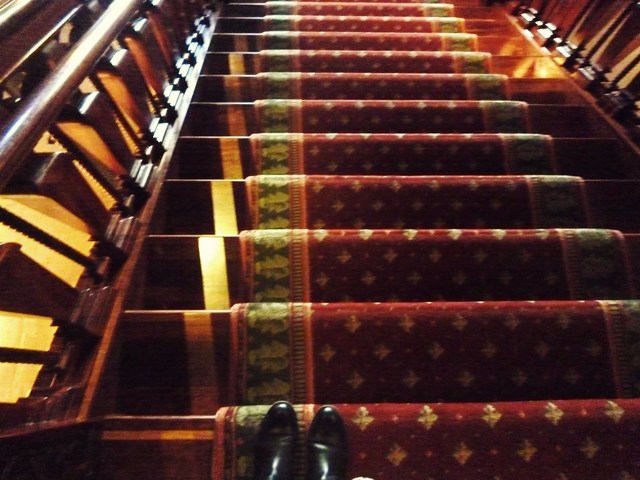 P1090870.JPGのサムネイル画像