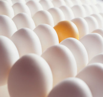 egg-egg_enriched_with_vitamin1.jpg